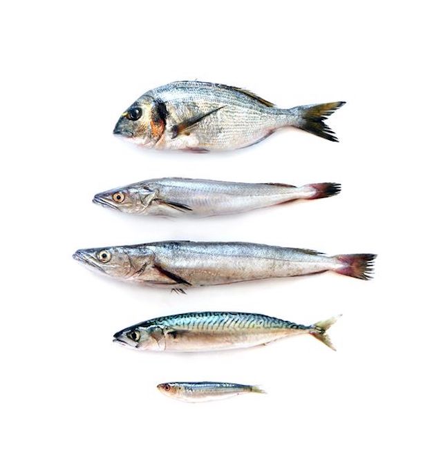 Что выбрать: рыбу или таблетки?