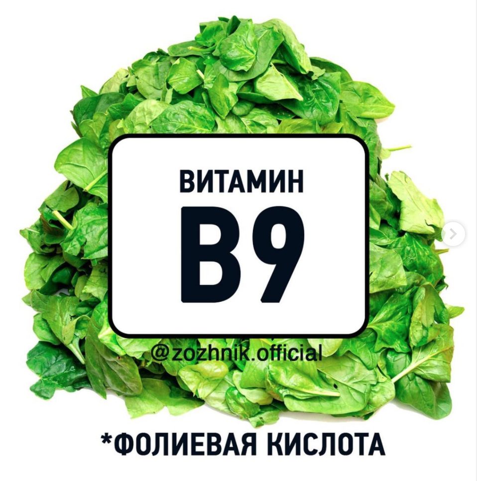 Витамин B9, он же «фолиевая кислота». Энциклопедия в 10 слайдах