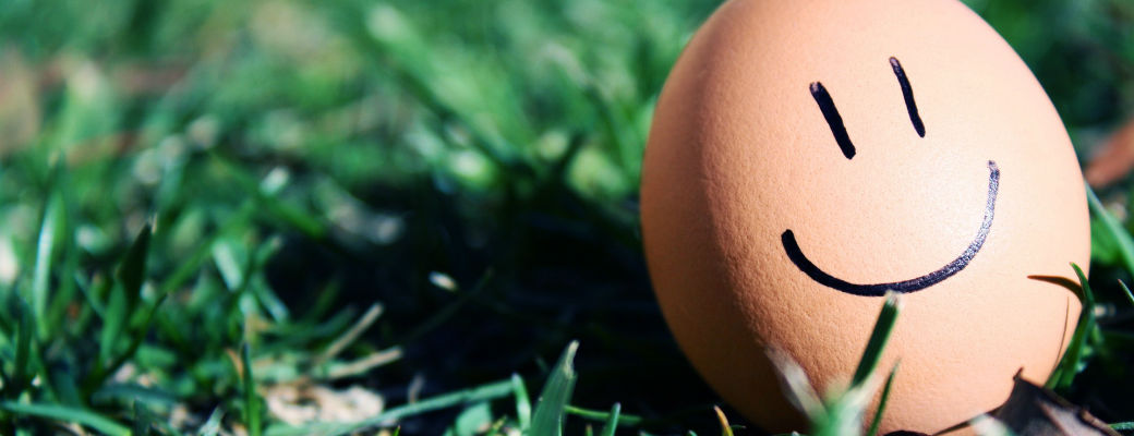 Гид по яйцам: сколько яиц можно есть, полезен ли желток, холестерин, сырые яйца и другие ответы