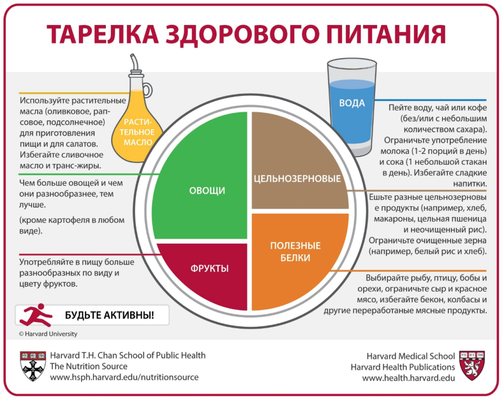 Гарвардская тарелка здорового питания Гарвардская тарелка здорового питания