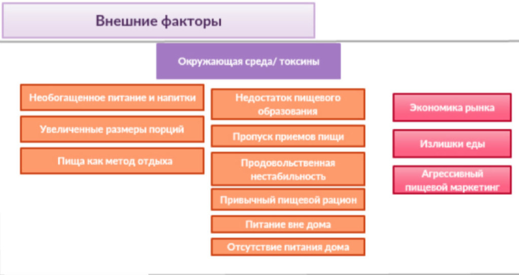 факторы_энергия_2