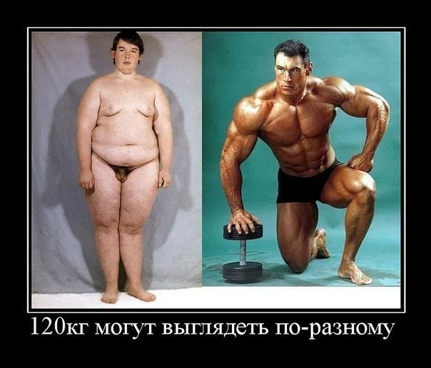 как выглядят разные 120 килограмм на человеке