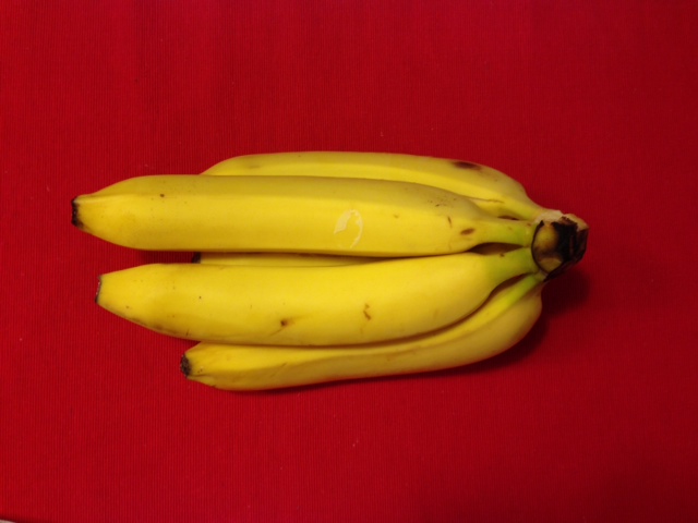 фото 2 (2)