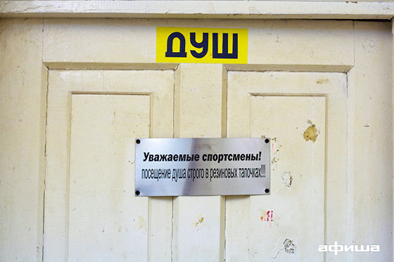 л1