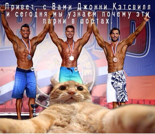 денис гусев 7