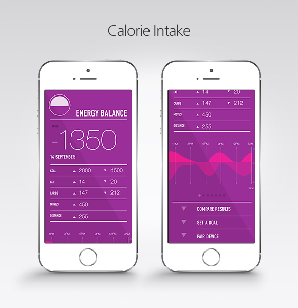 20140226135817-HEA_igg_10-Mobile_CalorieIntake