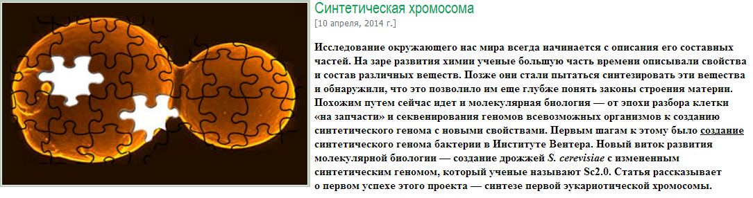 хромосома скрин зожник