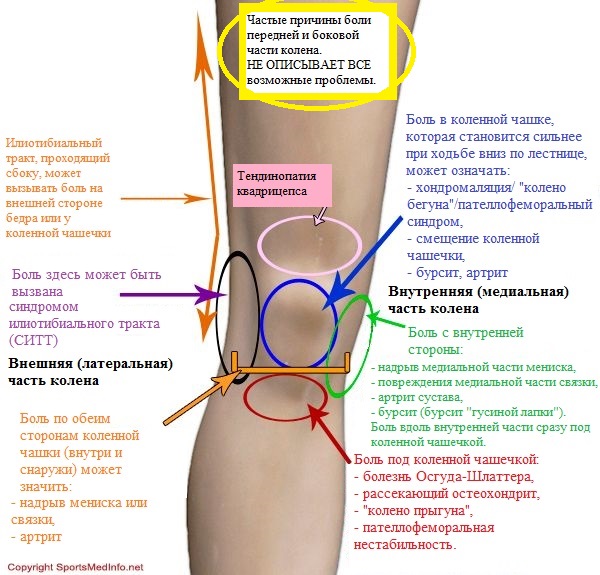 колено не боли зожник полечи