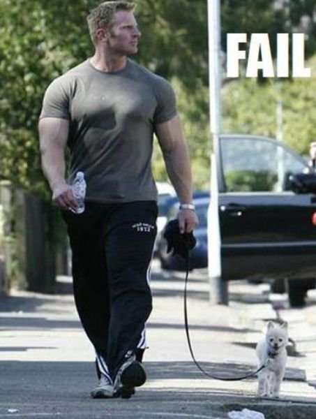 funny bodybuilder