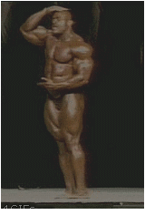 giphy1