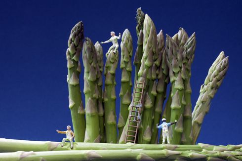 asparagus