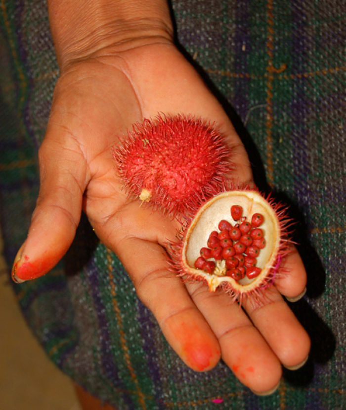 Аннато (Achiote)