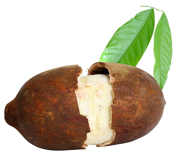 Купуачу (Сupuaçu)