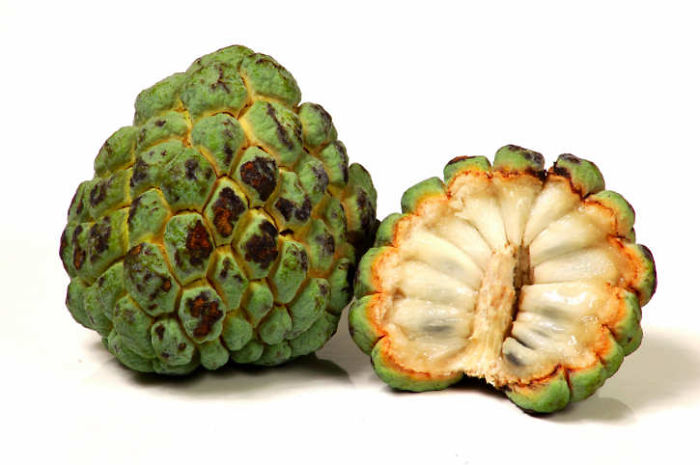 24_custard-apple-1__700