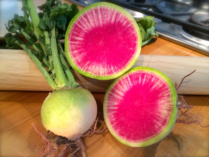 26_watermelon_raddish