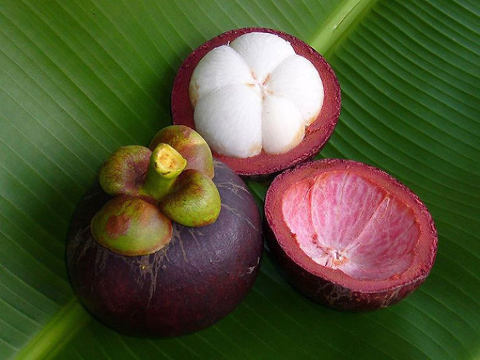 Мангостин (Mangosteen)