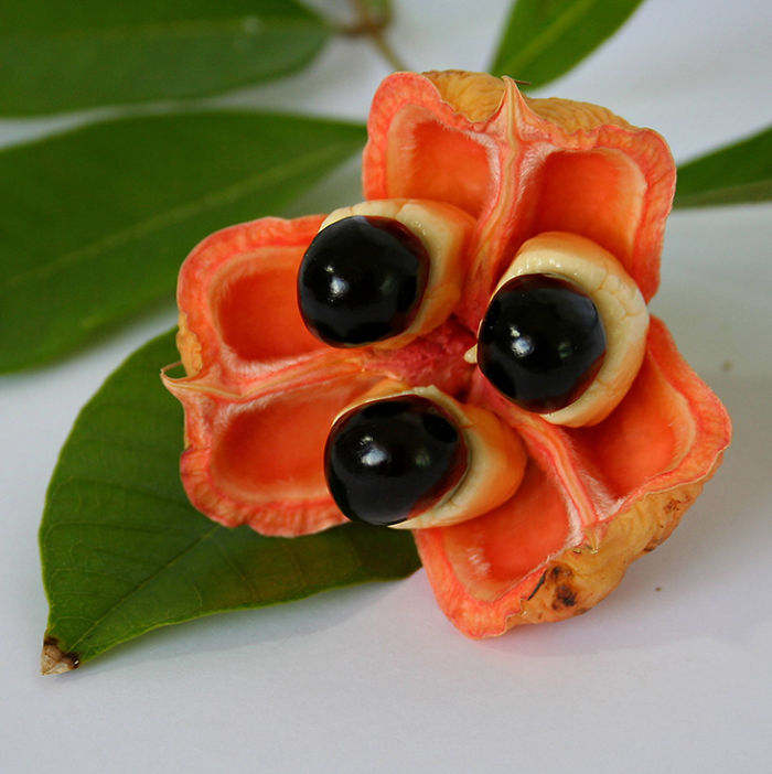 Аки (она же - "Блигия вкусная", Ackee)
