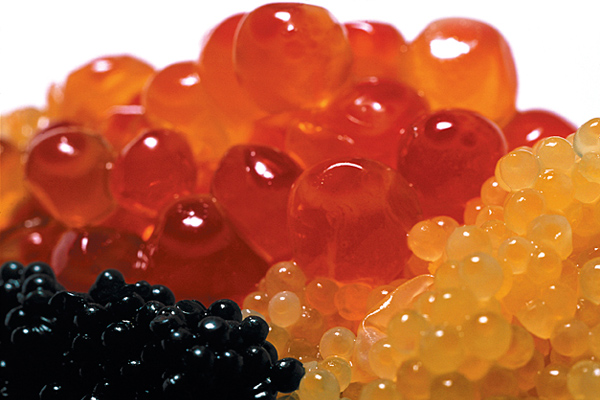 caviar
