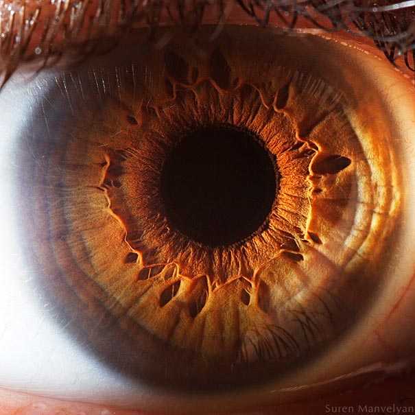 eye-macro-photo-10