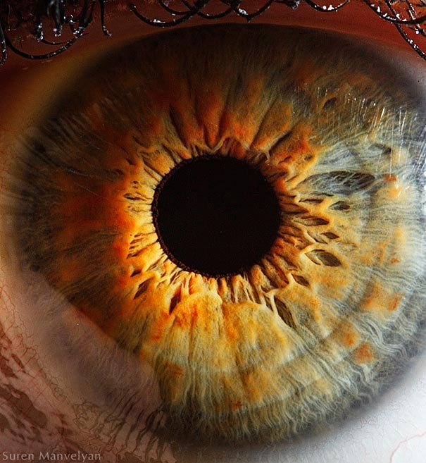 eye-macro-photo-11