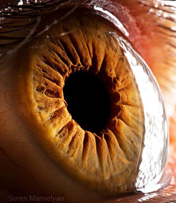eye-macro-photo-12