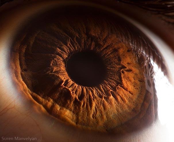 eye-macro-photo-13
