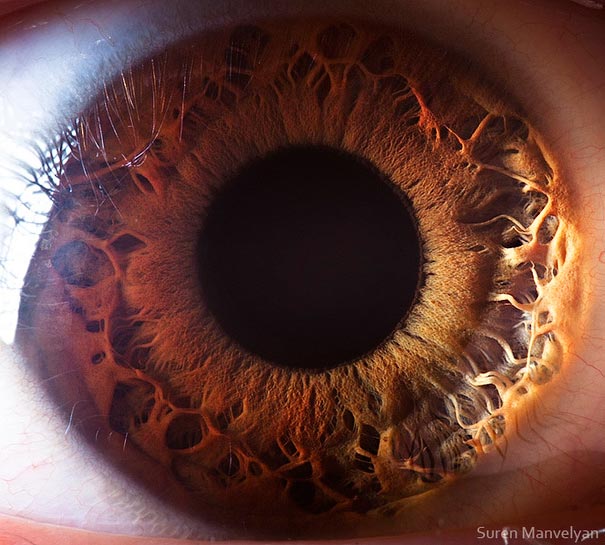 eye-macro-photo-14