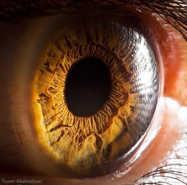 eye-macro-photo-2