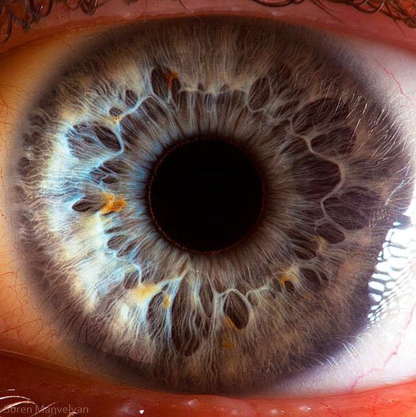 eye-macro-photo-4