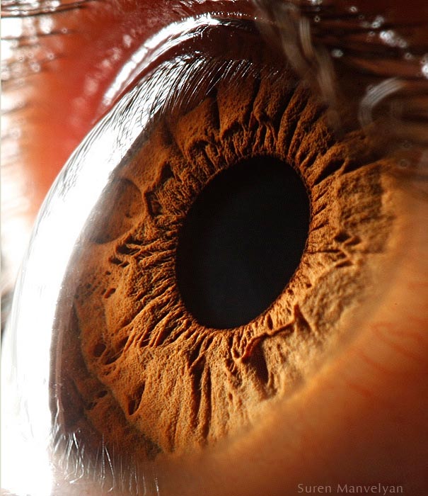 eye-macro-photo-8