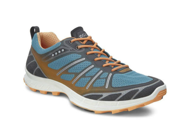 16 Ecco Biom Trail FL Lite