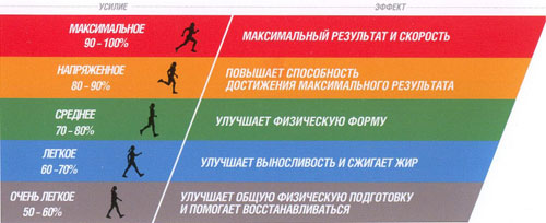 Гид по кардиотренировкам: кому, зачем, сколько, когда