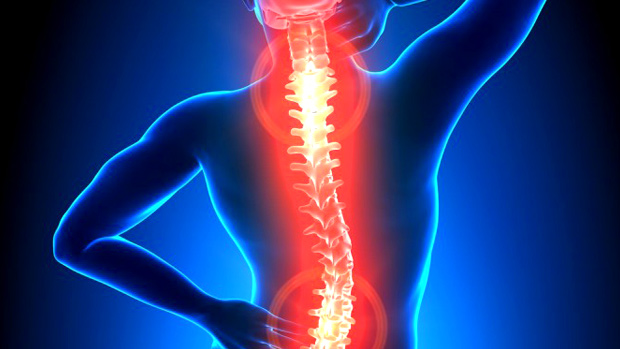 Spine