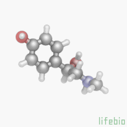 sinefrin