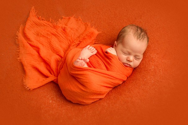 фотограф Алла Шостак