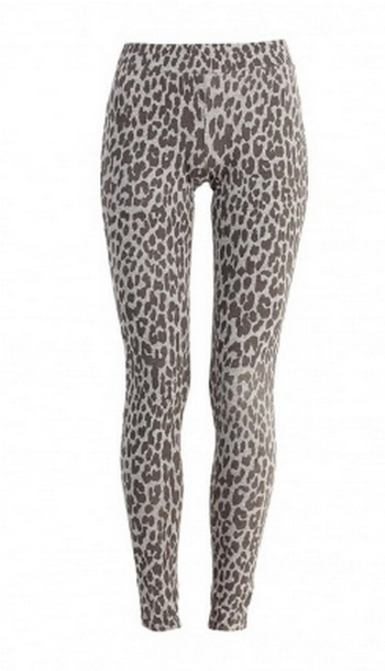leopard