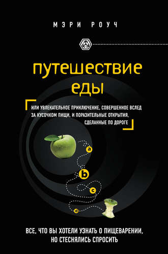 путешествие еды