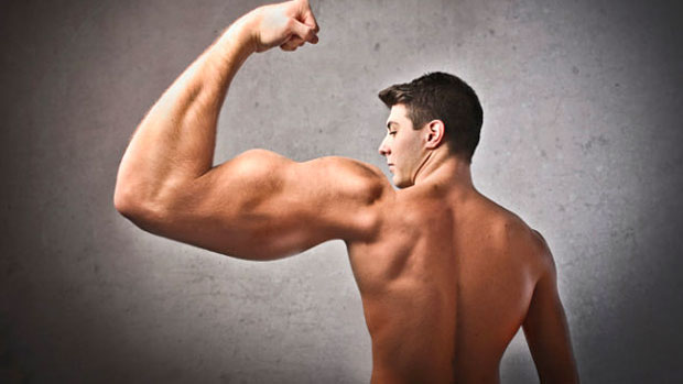 Biceps-Isolation