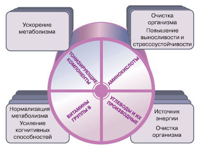 2 энергетики зожник