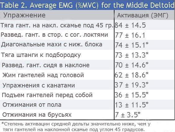  Самые эффективные упражнения по активации среднего пучка дельтовидных мышц