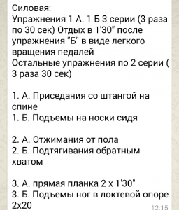 силовая5_-256x300