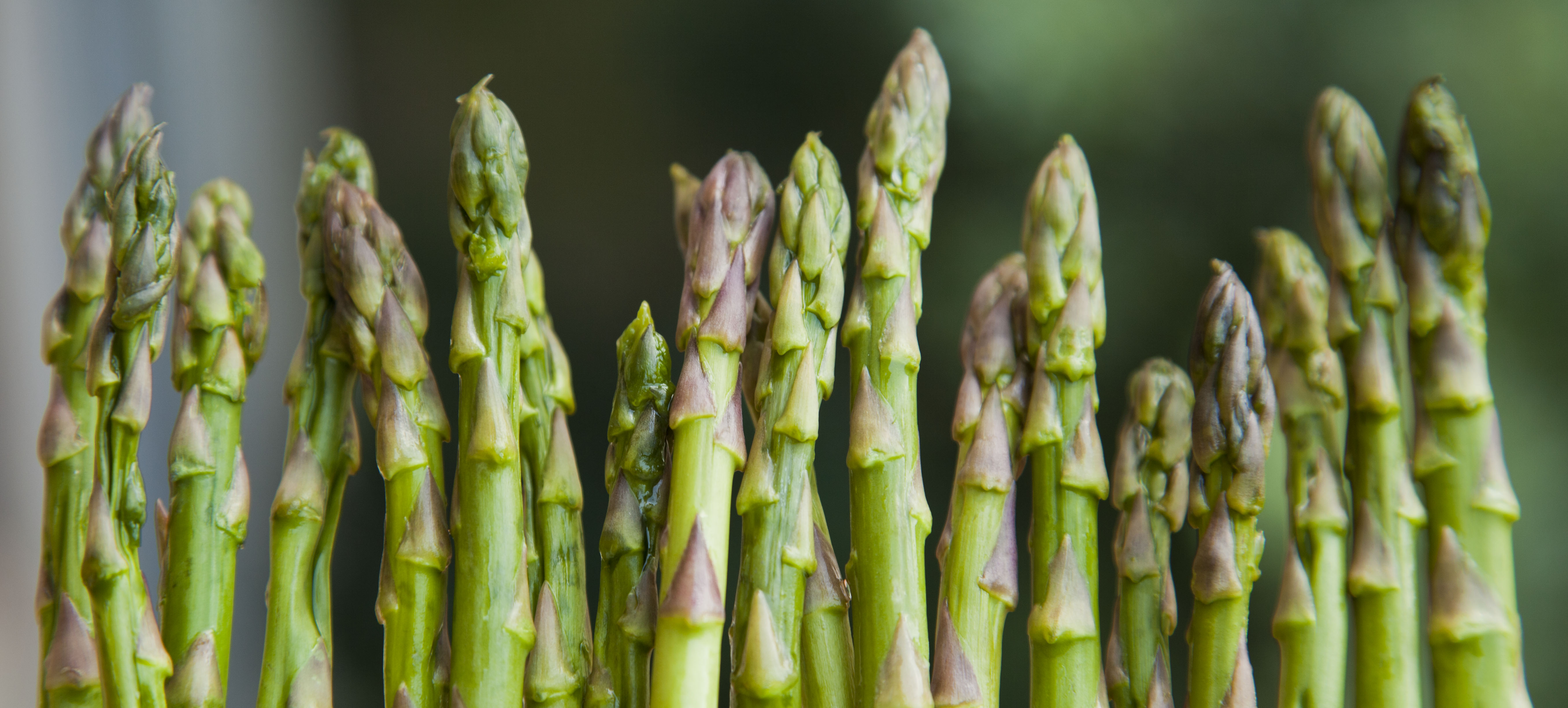 Asparagus
