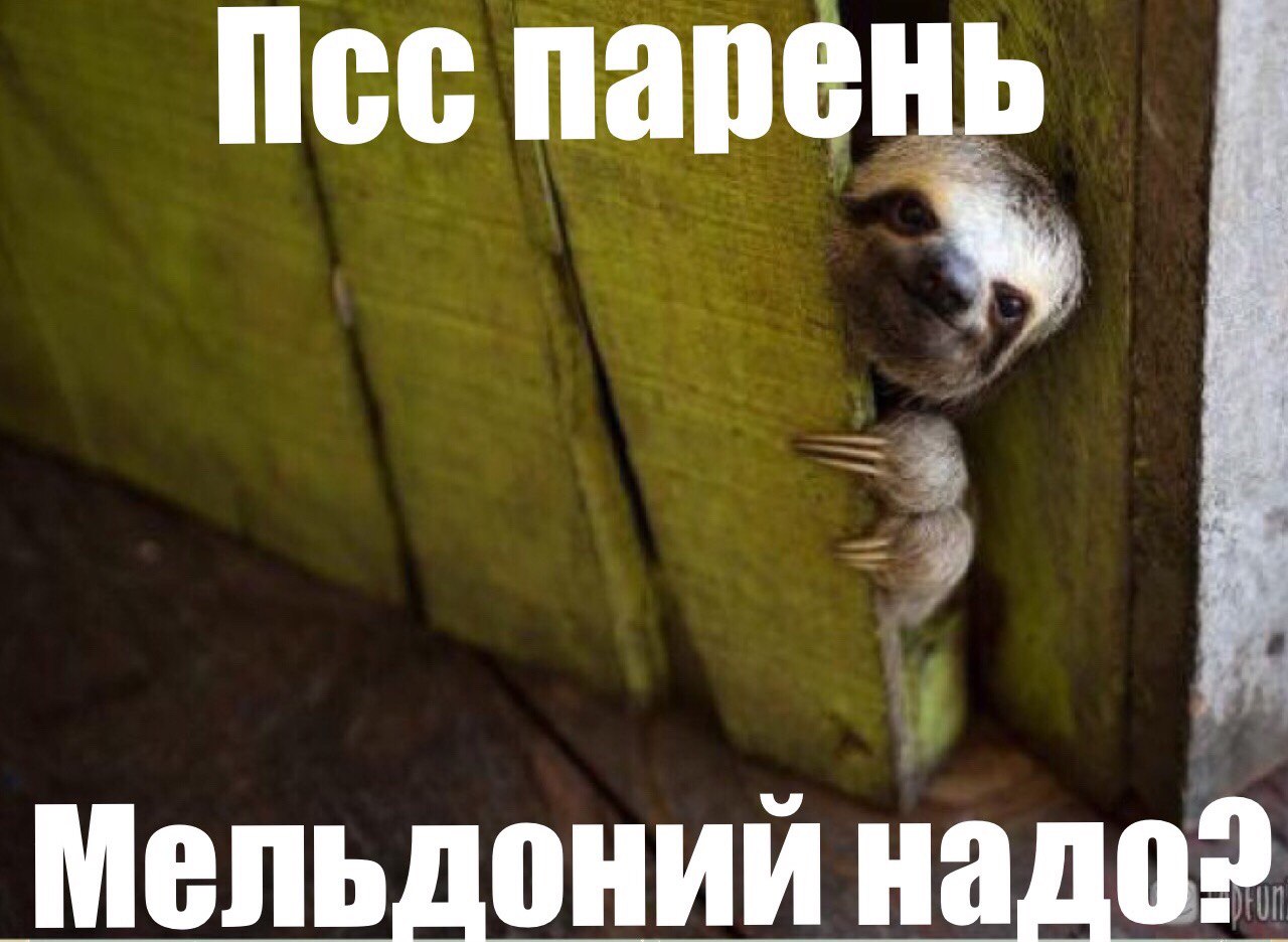 беговой_юмор16