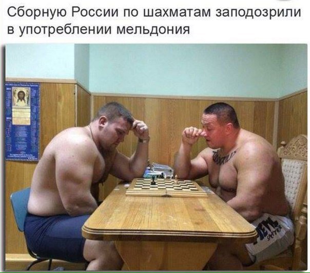 беговой_юмор20