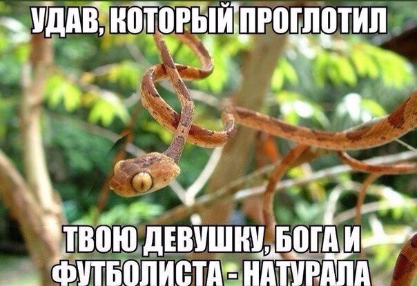 беговой_юмор25