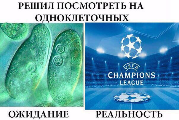 беговой_юмор28