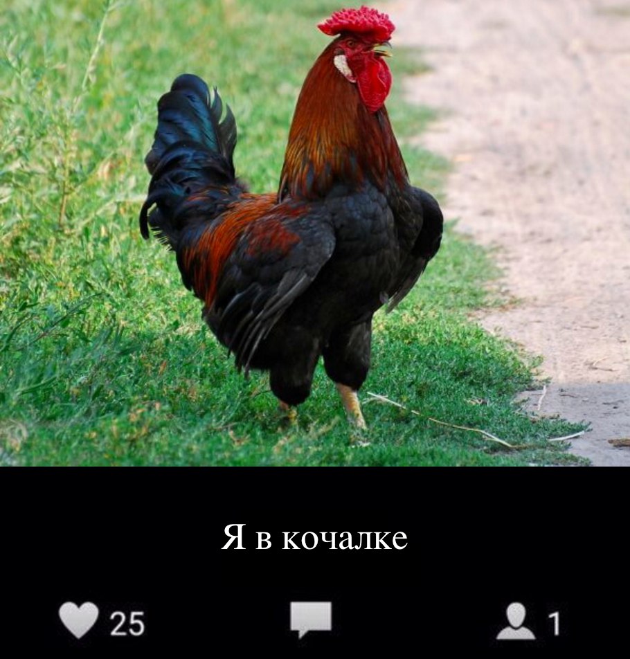 беговой_юмор29