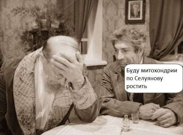беговой_юмор30