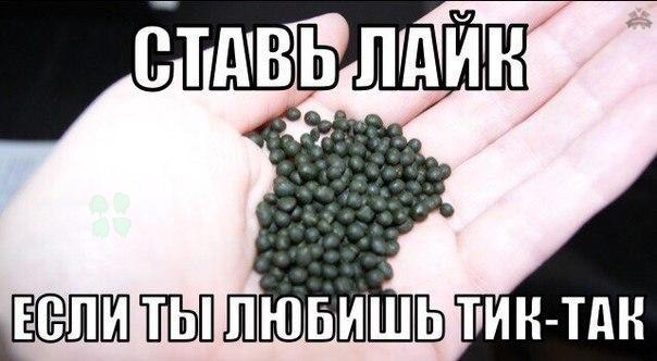 беговой_юмор4