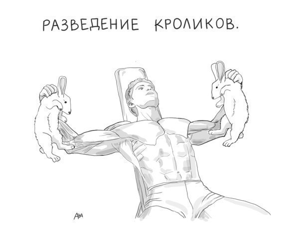 кролики-тренировка-песочница-460503